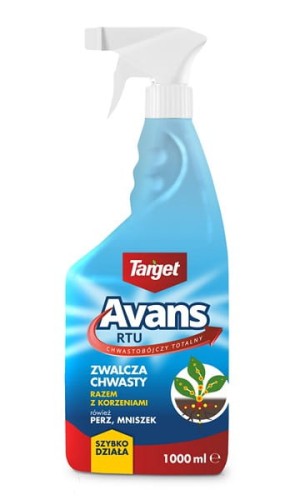 4231