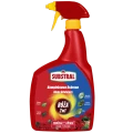 4262