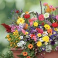 5178