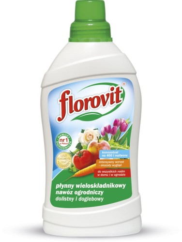 5598