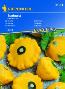Patison 'Sunburst' – Nasiona Kiepenkerl