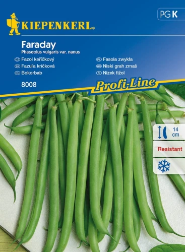 5938