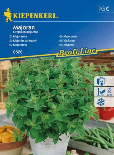 6004
