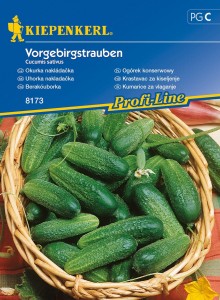 Ogórek konserwowy Vorgebirgstrauben Cucumis sativus