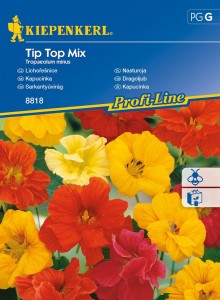 Nasturcja 'Tip Top' – Mix Nasion – Kiepenkerl