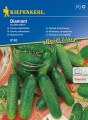 6060