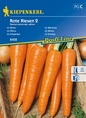 6554