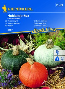 Dynia Ozdobna Hokkaido Mischung – Kiepenkerl