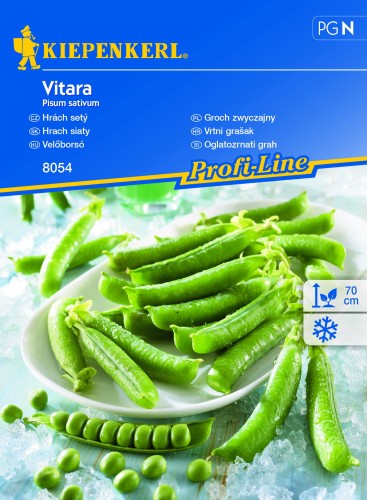 7256