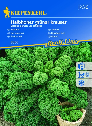 7260