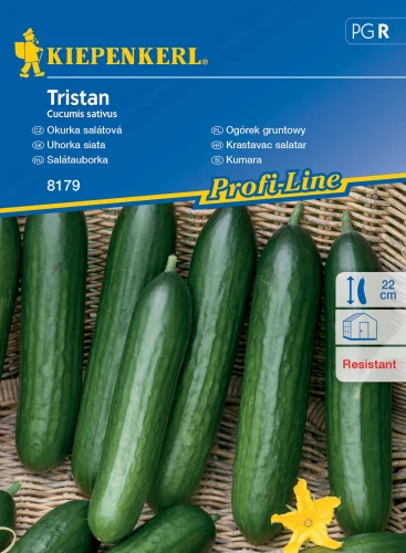 7278