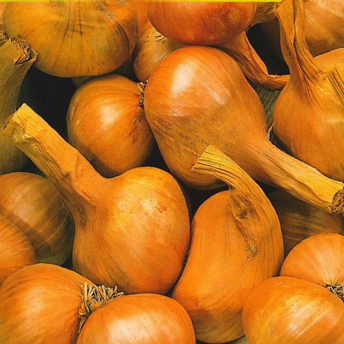 8582
