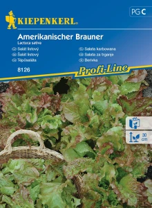 Sałata karbowana ,,Amerikanischer Brauner’’ - Kiepenkerl