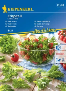 Sałata dębolistna ,,Crispita II’’ – Kiepenkerl