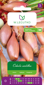 Cebula Szalotka Zébrune 3 g Legutko