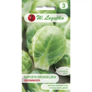 Brukselka Groninger 1 g Legutko