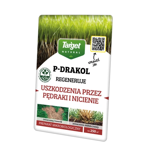 P-DRAKOL - PĘDRAKI, NICIENIE 20 G(1).png