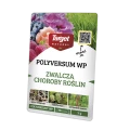 POLYVERSUM WP 5 G(2).png