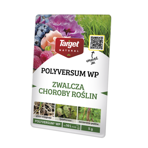 POLYVERSUM WP 5 G(2).png