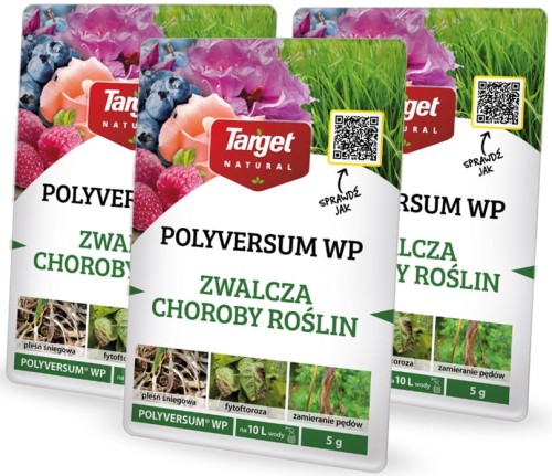 Polyversum x3 (1) po.jpg