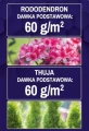 osmocote iglak 2.png