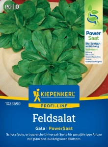 Sałata, Roszponka Gala, nasiona otoczkowane Kiepenkerl