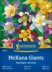 Orlik błękitny McKana Giants Kiepenkerl